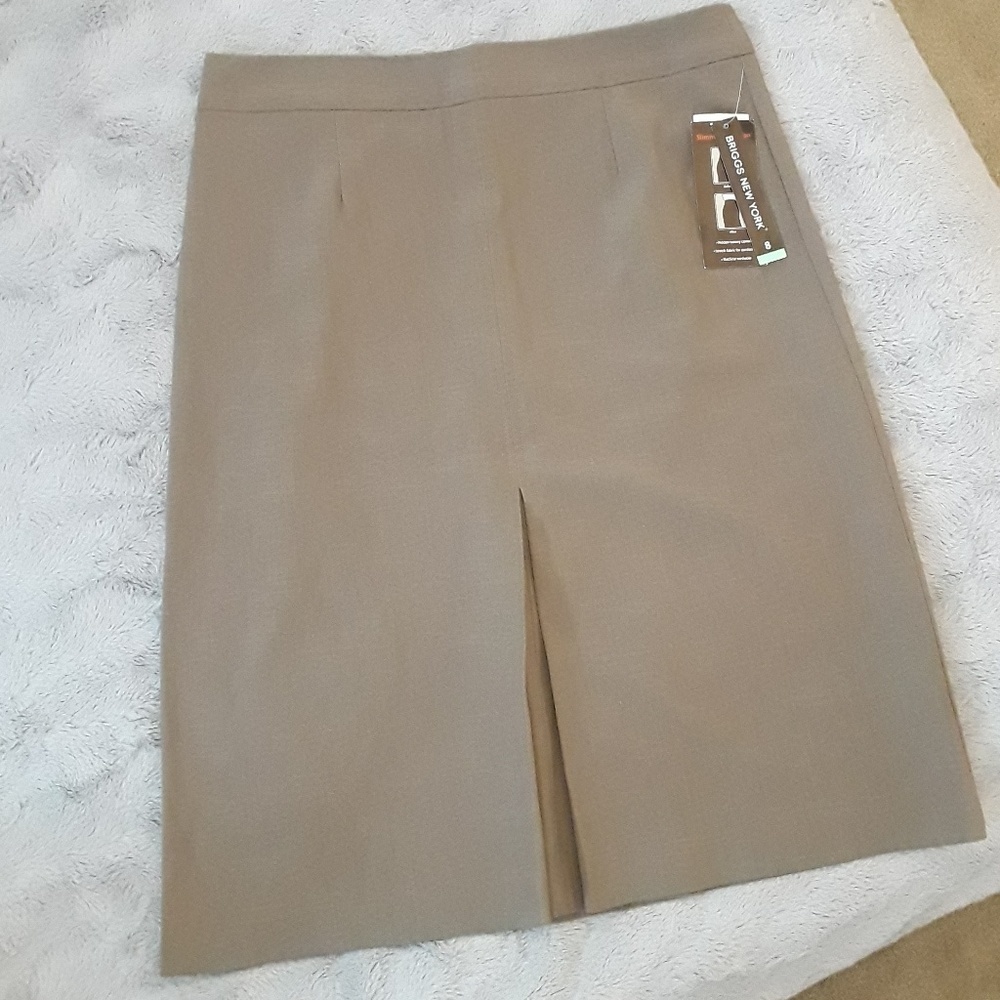 Briggs New York Skirt NWT